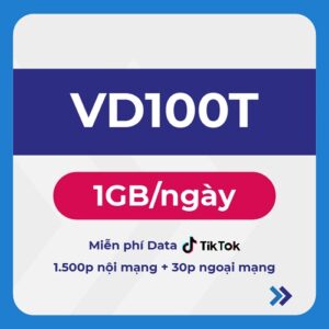 Gói VD100T VinaPhone nhận ưu đãi ngay 30GB tốc độ cao giá chỉ 100k/tháng